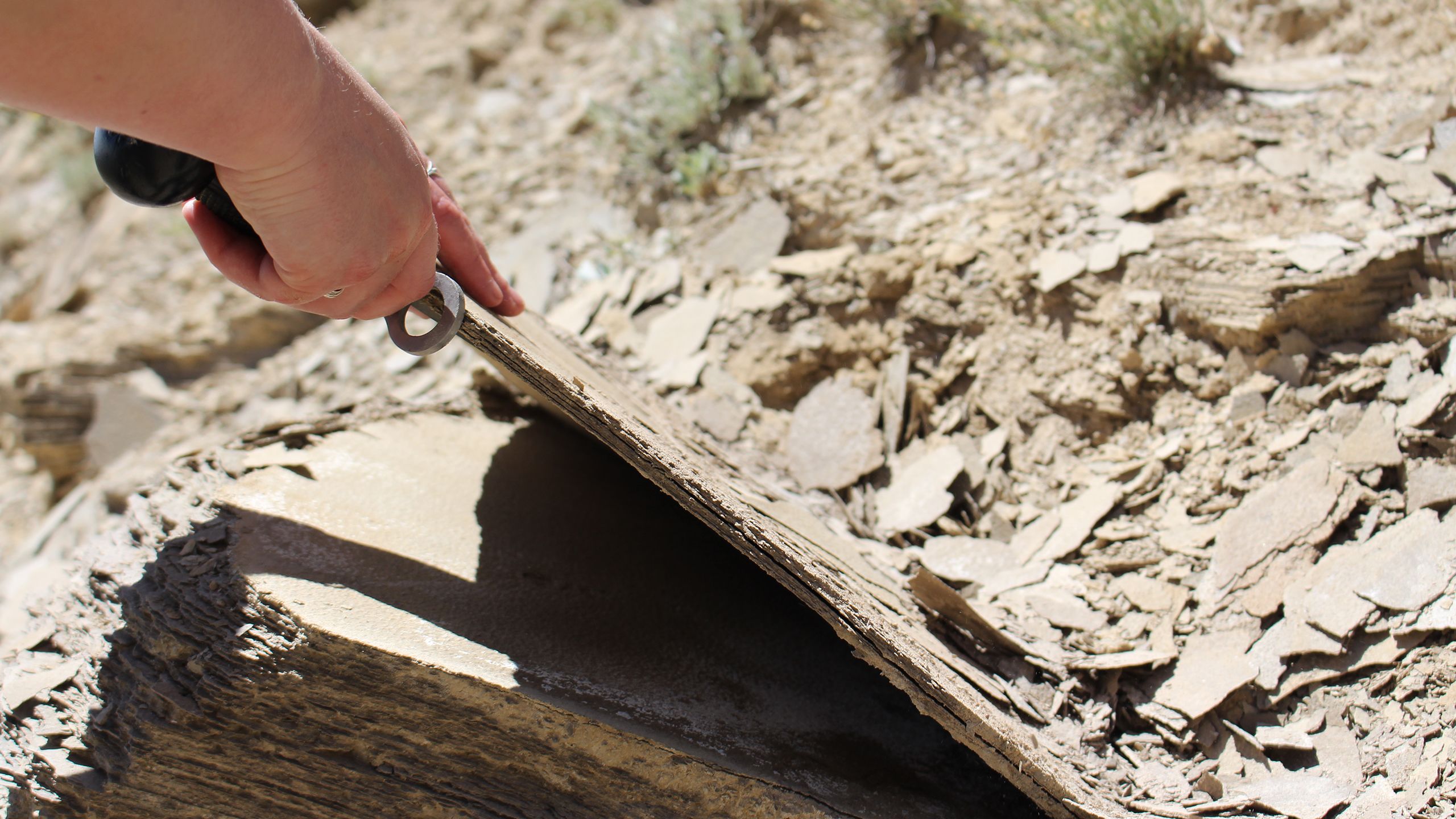 Scrolling animation of splitting paper shale using a blunt knife